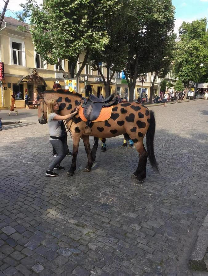 "Ваша Квартира" - У Самого Дерибаса! "Ваша Квартира" Біля Самого Дерибаса! Oldenburg Bagian luar foto